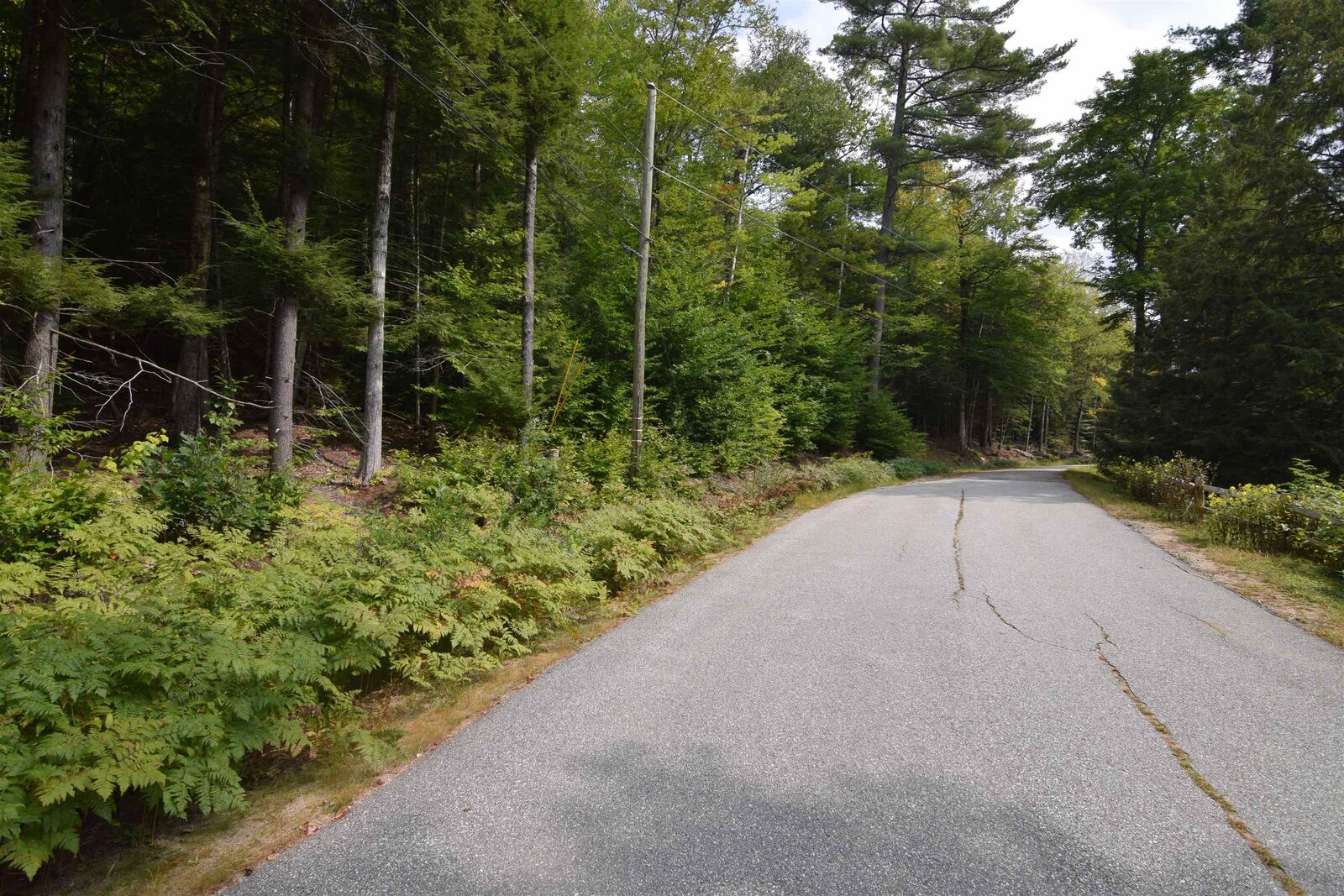 Property Photo: 49 &Amp 50 Tree Line Road NH 03285