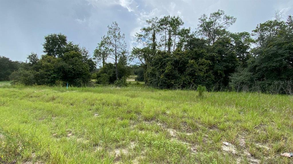 Property Photo:  349 Bream Circle  FL 34759 