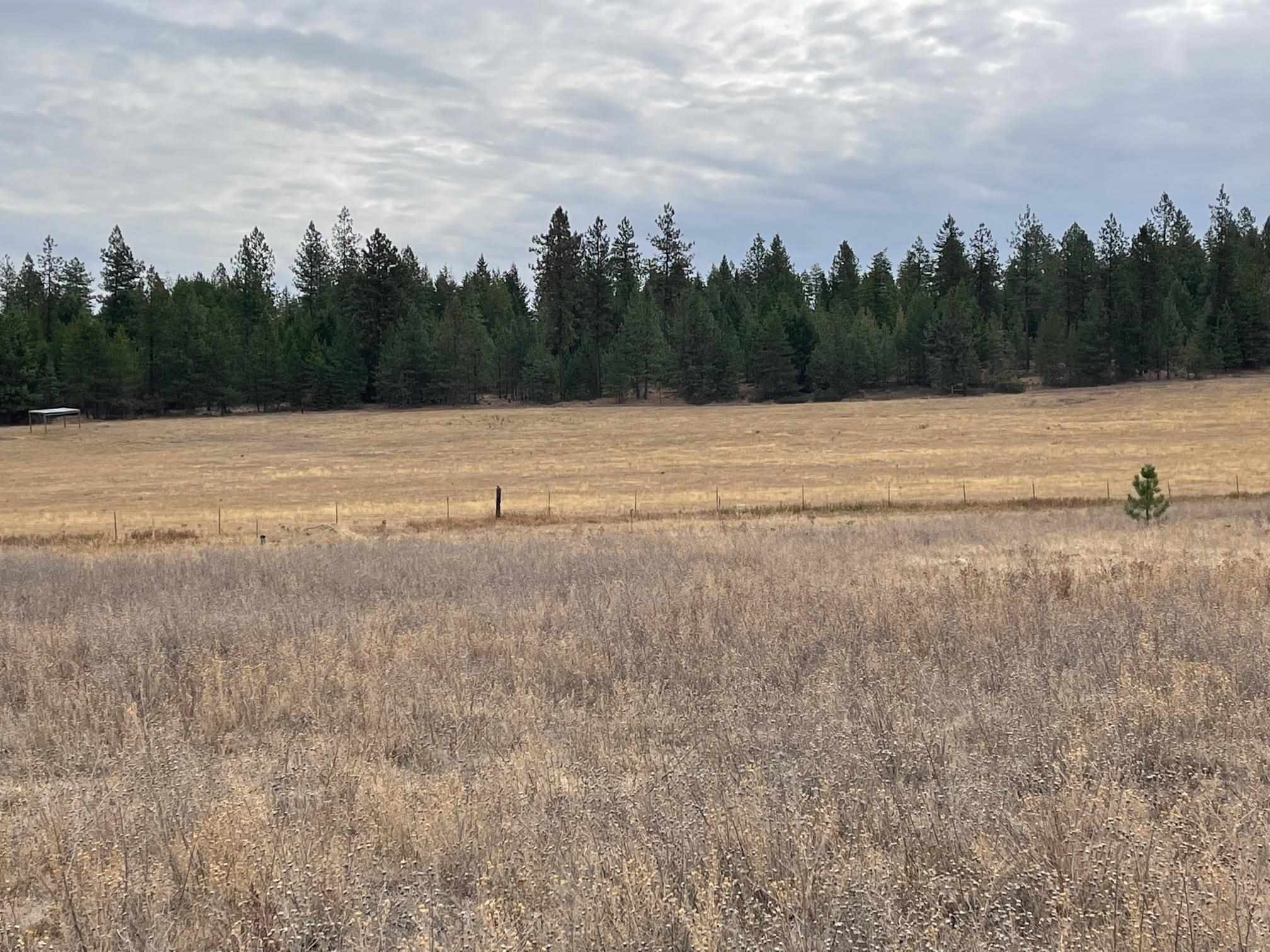 Property Photo: 5191 B Elk Meadow Way WA 99006