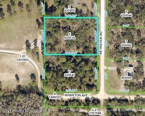 Property Photo:  18483 Parallel Road  FL 34614 