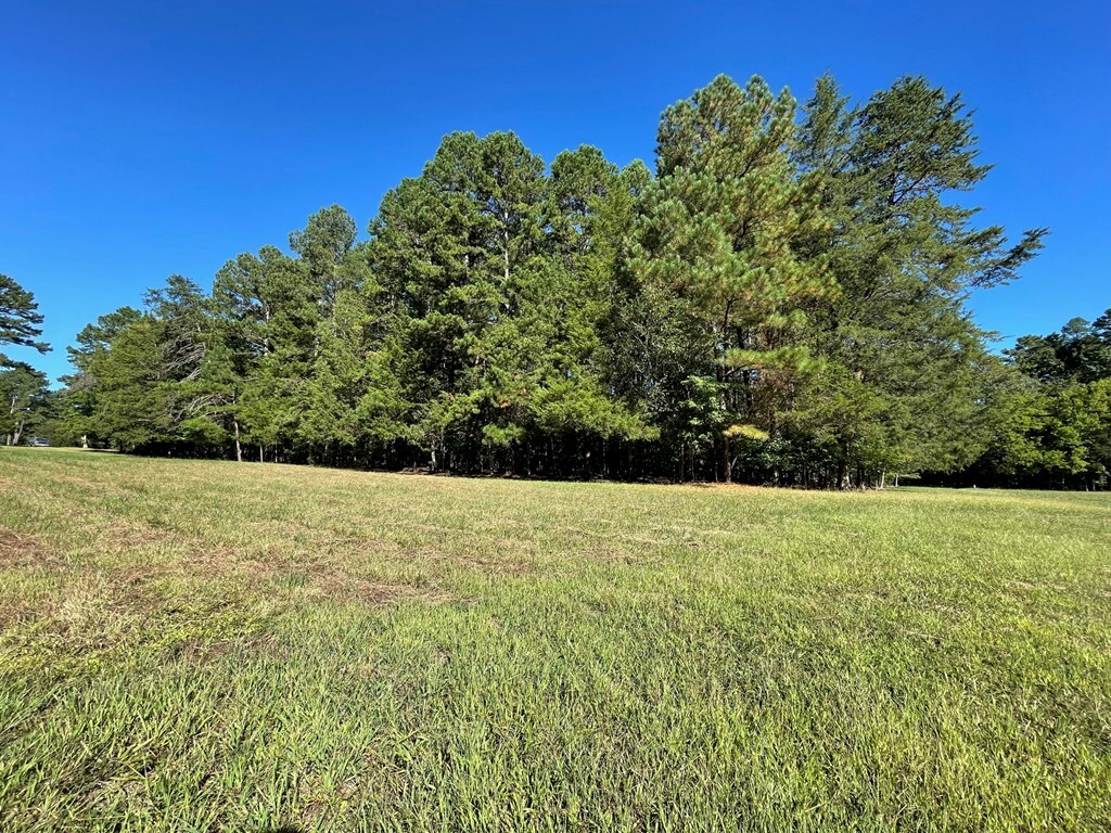 Property Photo:  Lot C Carol Avenue  VA 23927 