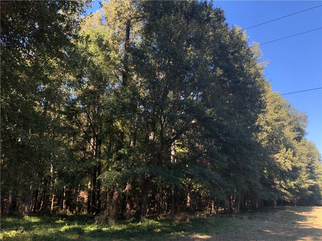 Property Photo:  Tract 2 Griffin Road  SC 29627 