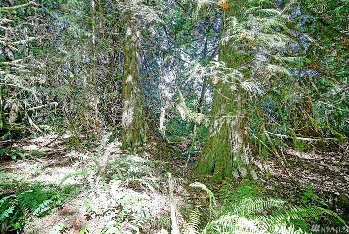 Property Photo: 206 Xx Sill Rd WA 98223