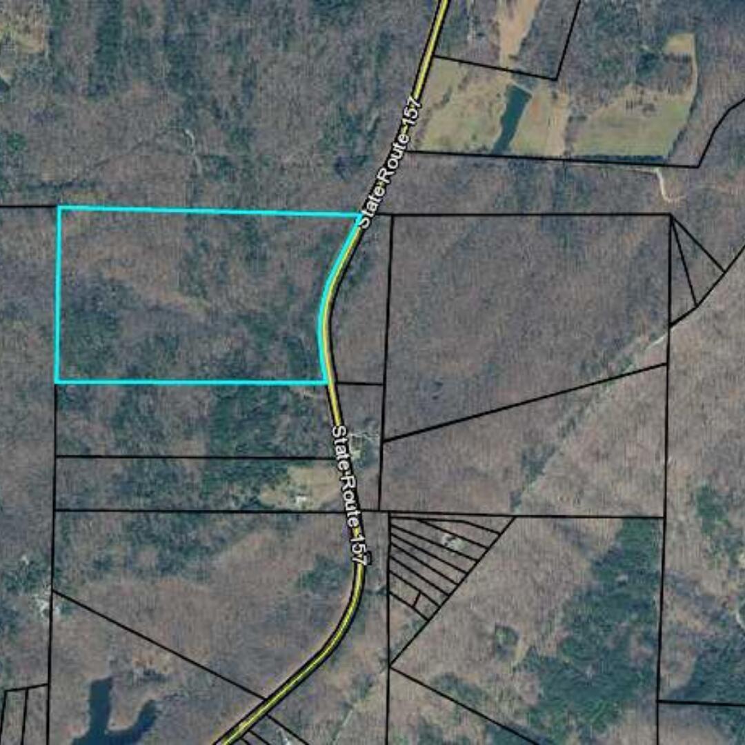 Property Photo: 0 Hwy 157 GA 30731