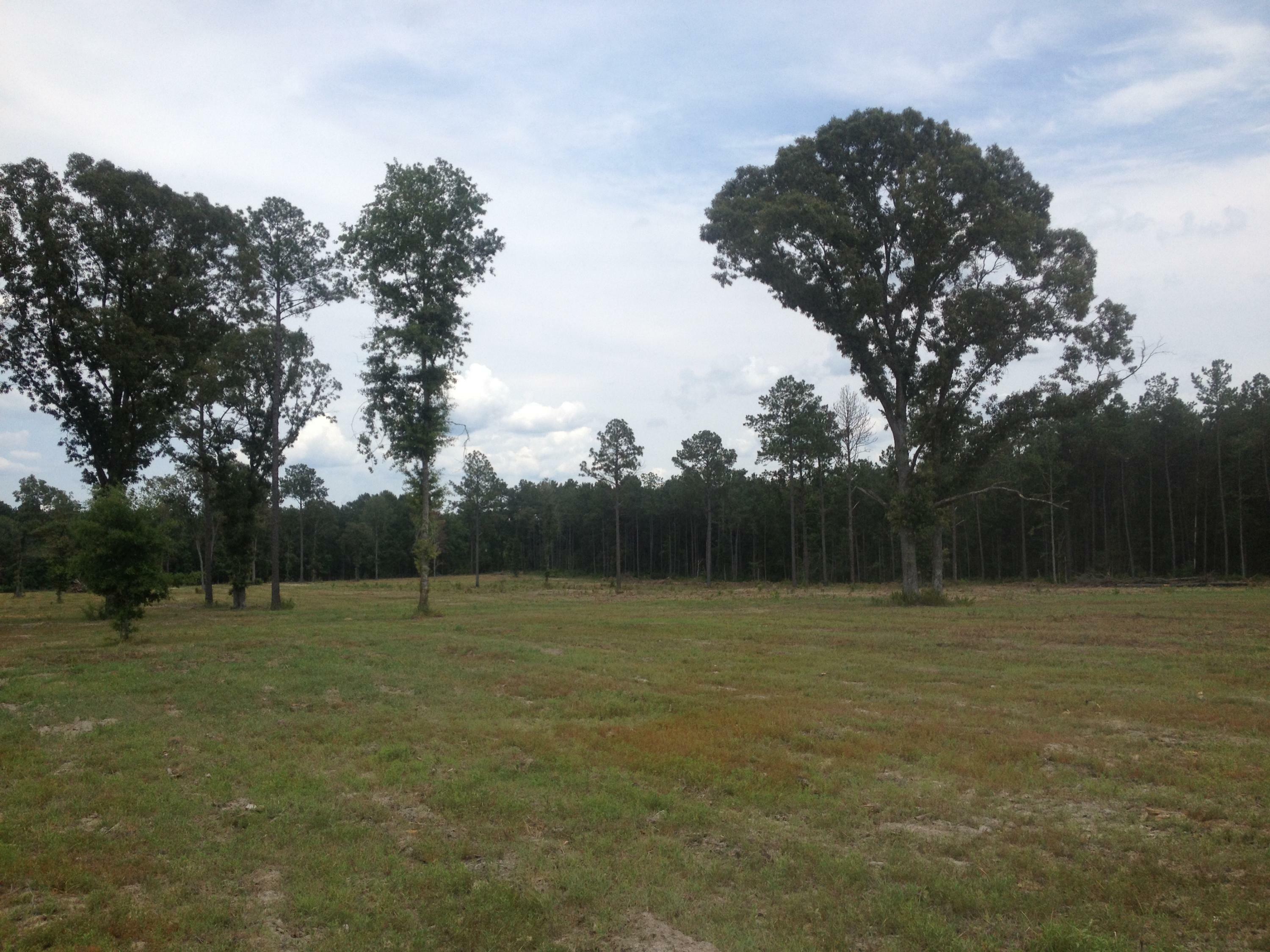 Property Photo:  2165 Greentown Rd  LA 70634 