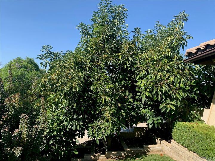 Property Photo:  5504 Inner Circle Drive  CA 92506 
