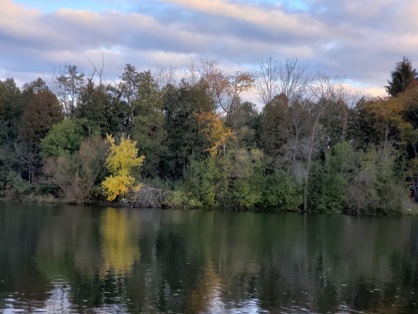 Property Photo: 00000 NW Lakeview Hamilton Drive IL 60142