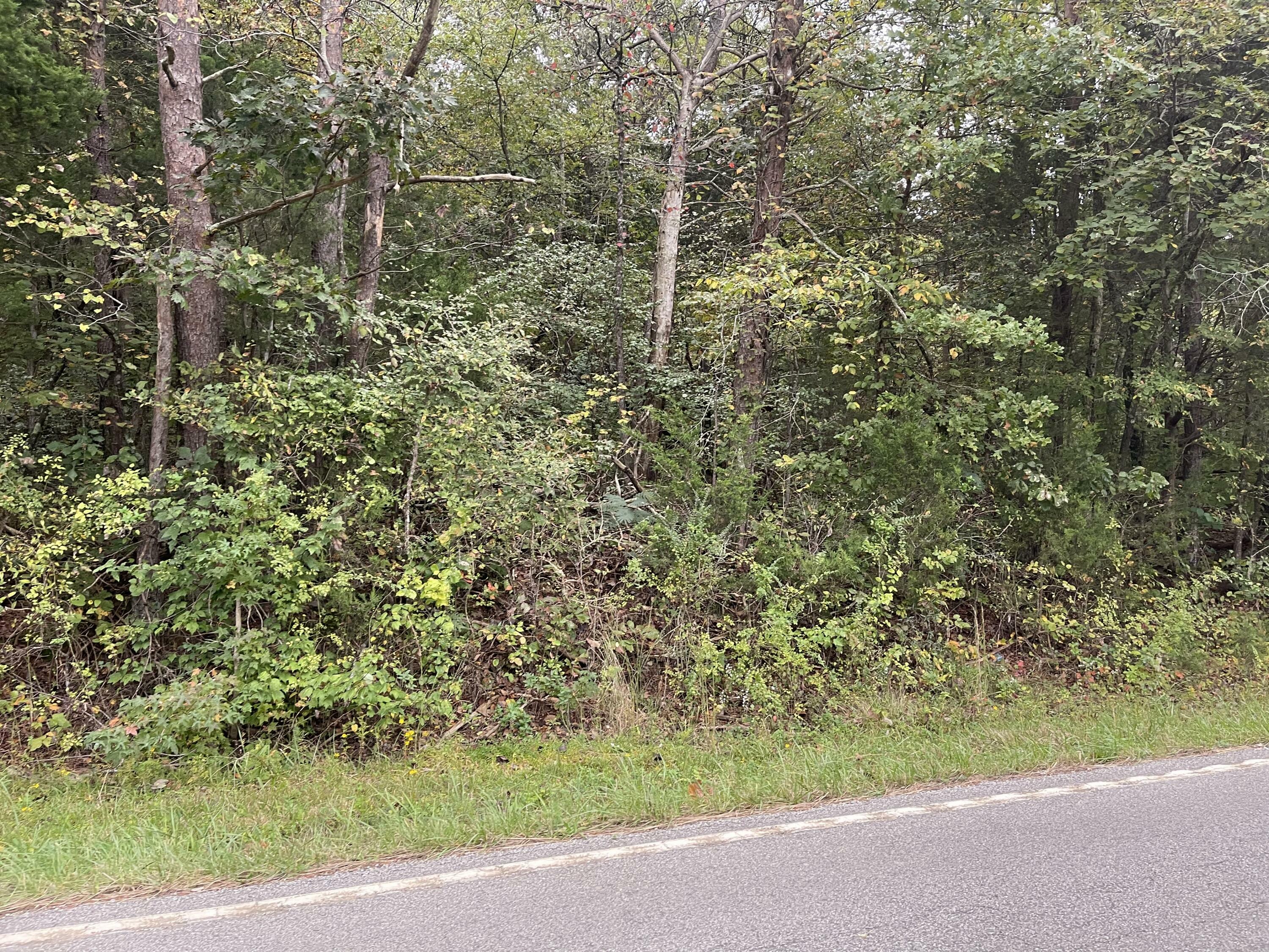Property Photo: River Rd TN 37880