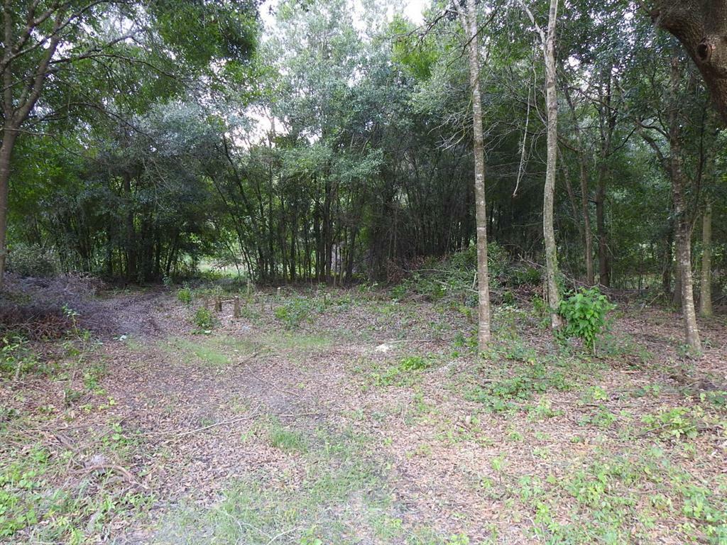 Property Photo:  1123 Saddlewood Boulevard  FL 33809 