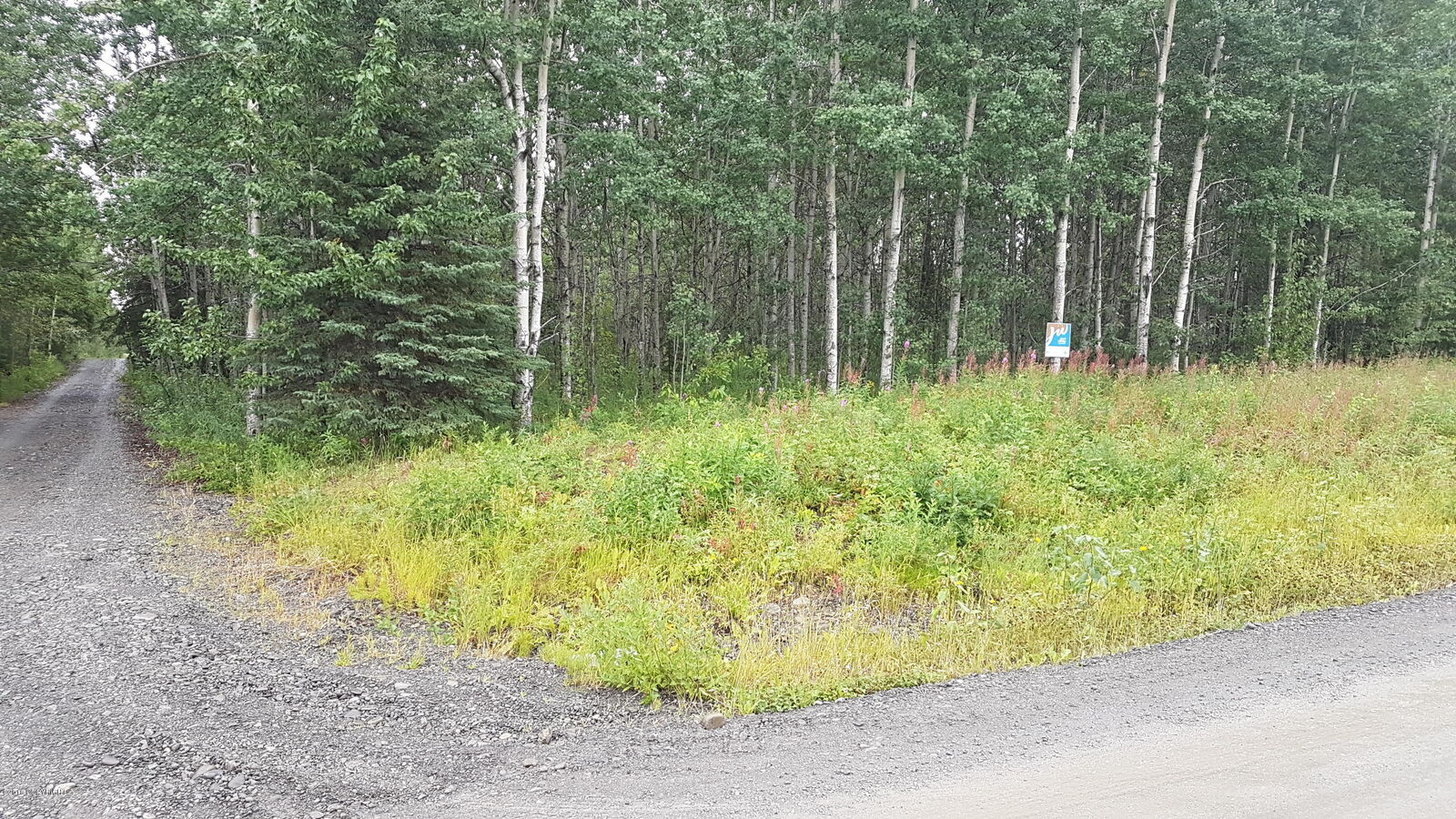 Property Photo: 35208 Rabbit Run Road AK 99669