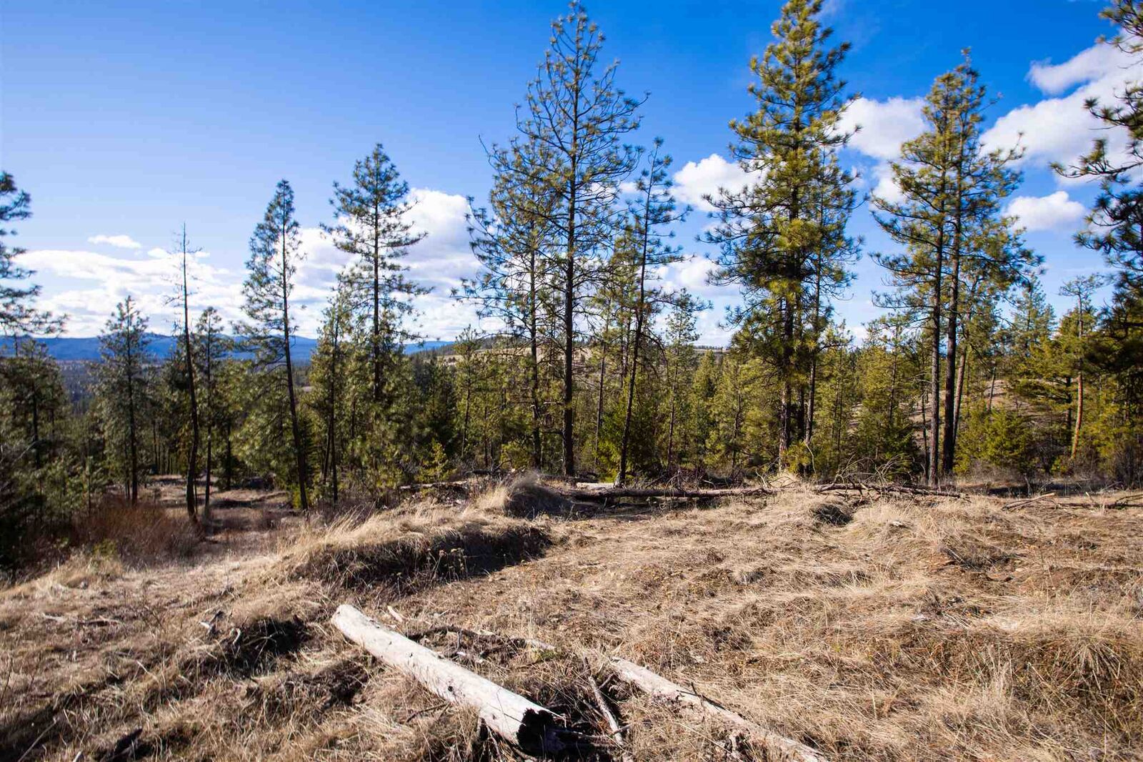 Property Photo: 5687A Corkscrew Cyn WA 99034