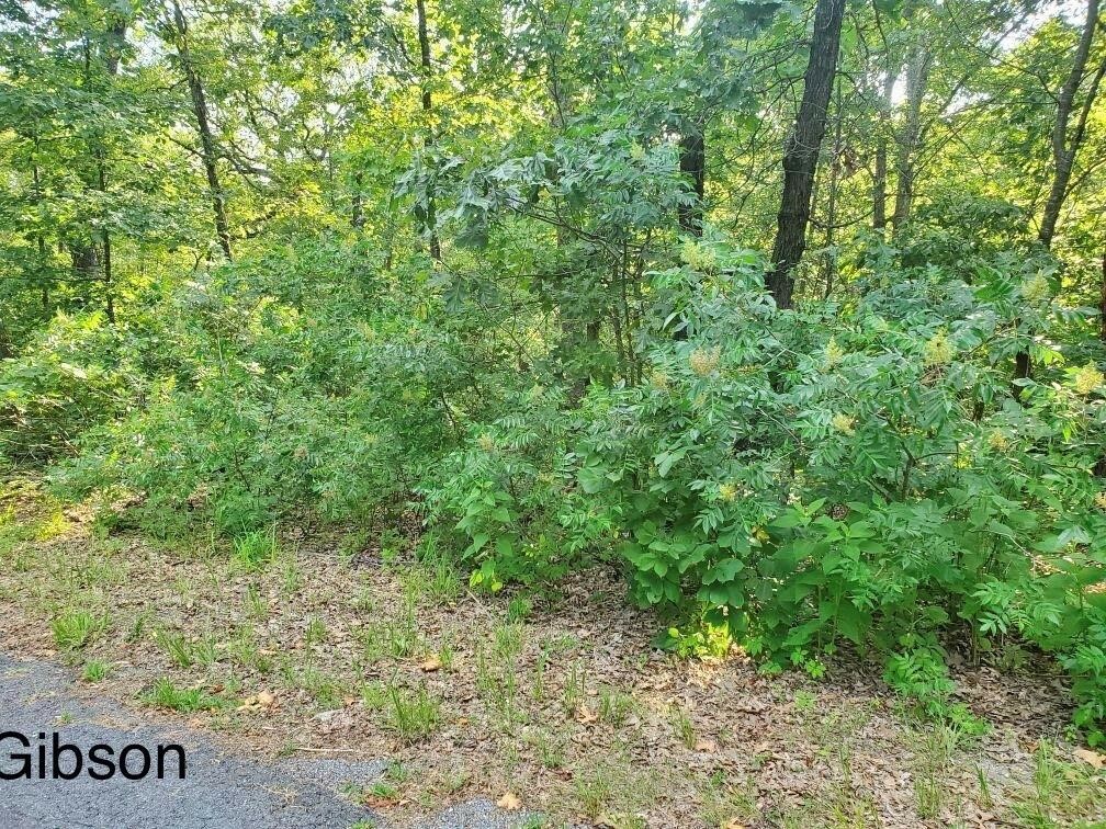 Property Photo:  Lot 17 Gibson Lane  AR 72715 