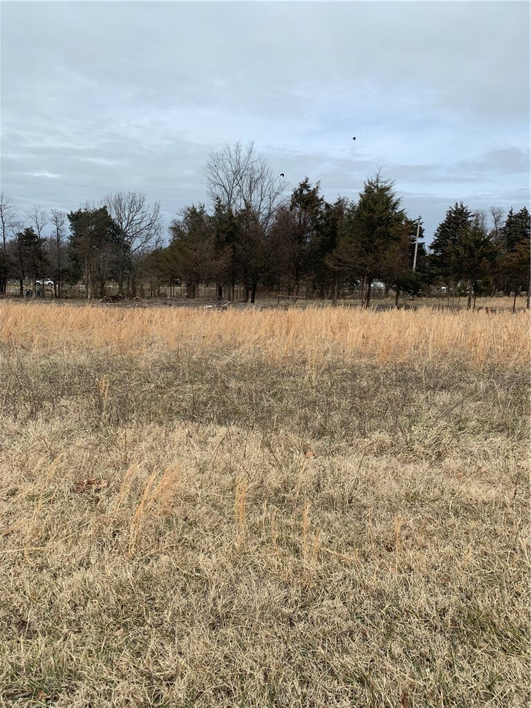 Property Photo: Tract 2 Doc Meyer Road MO 65745