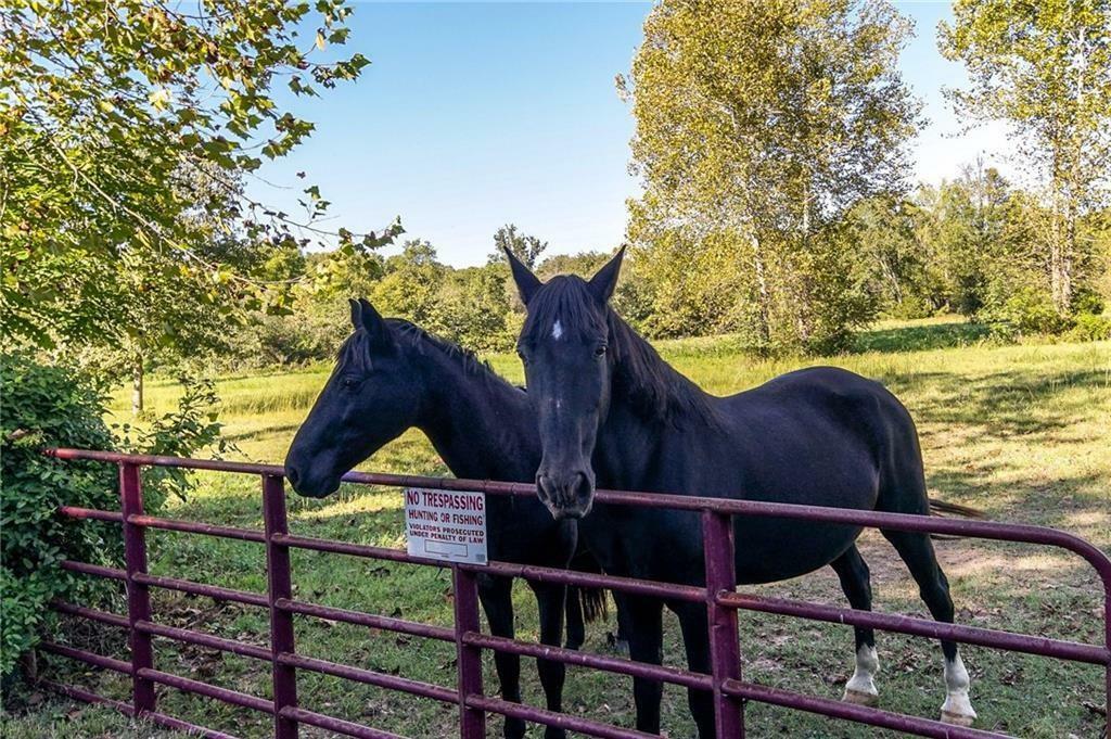 Property Photo:  Chelsea Road  AR 72715 