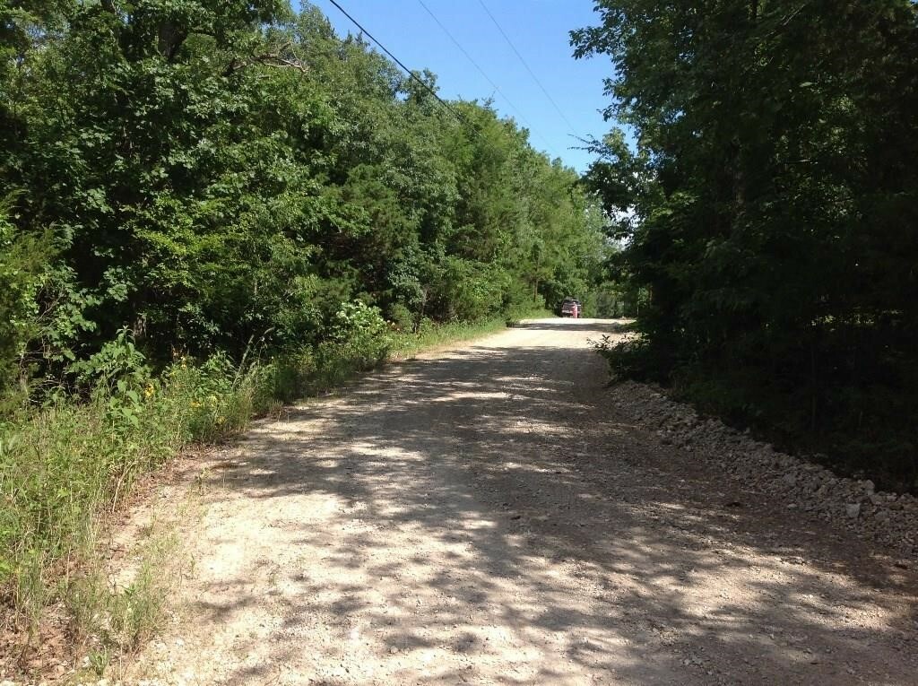 Property Photo:  Lot 10 Deepwater Drive  AR 72732 