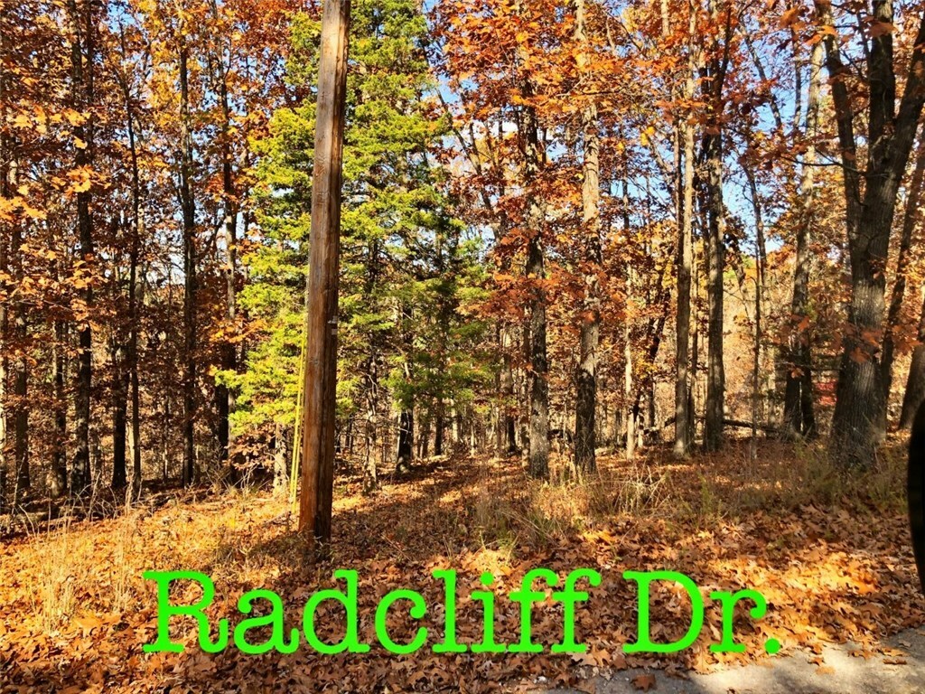 Property Photo: -- Radcliffe Drive AR 72714