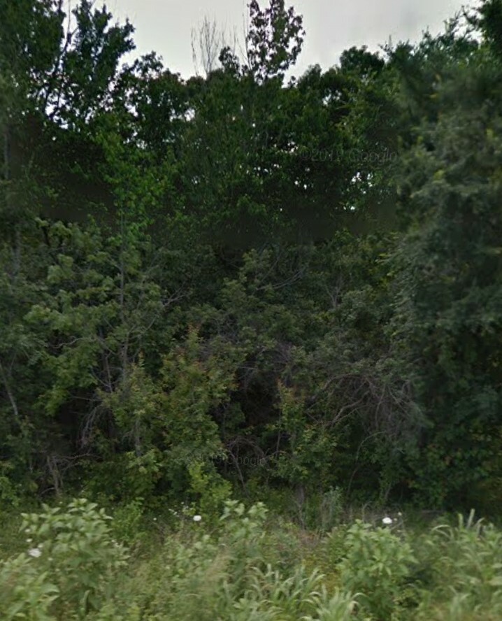 Property Photo:  Lot 10 Block 1 Marionet Lane  AR 72714 