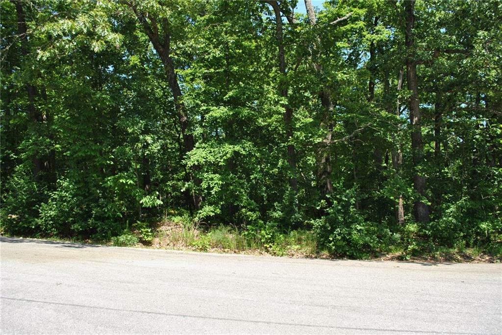 Property Photo:  Lot 10 Brigadoon Drive  AR 72715 