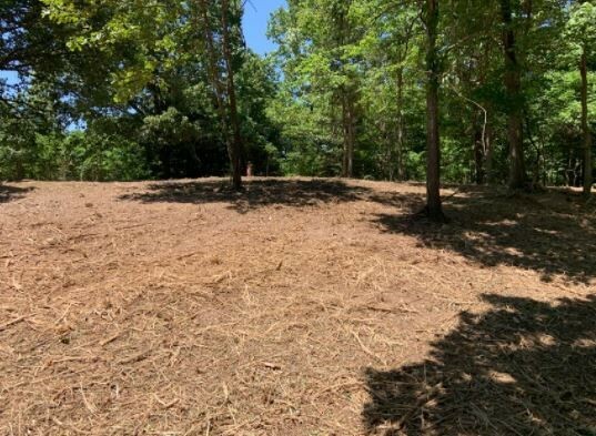 Property Photo:  22 Acres Skylark Road  MO 65730 