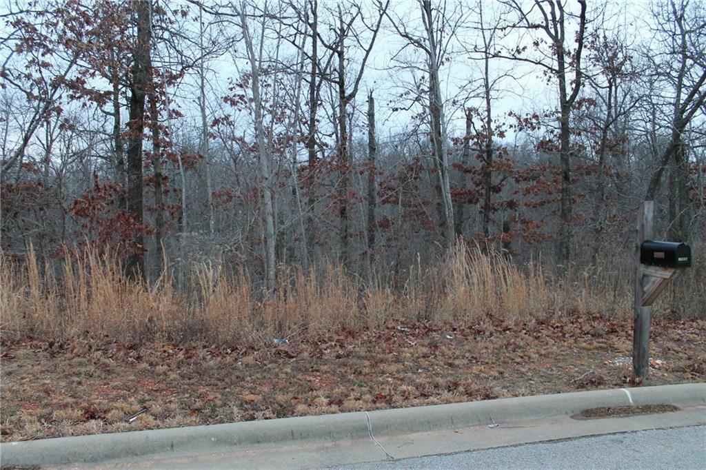 Property Photo:  2393 Double Springs Road  AR 72704 