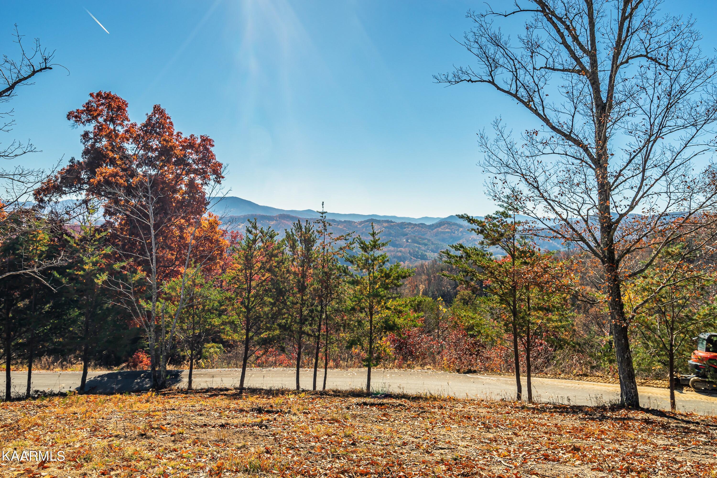 Property Photo: Lot 25 Summit Trails Drive TN 37862
