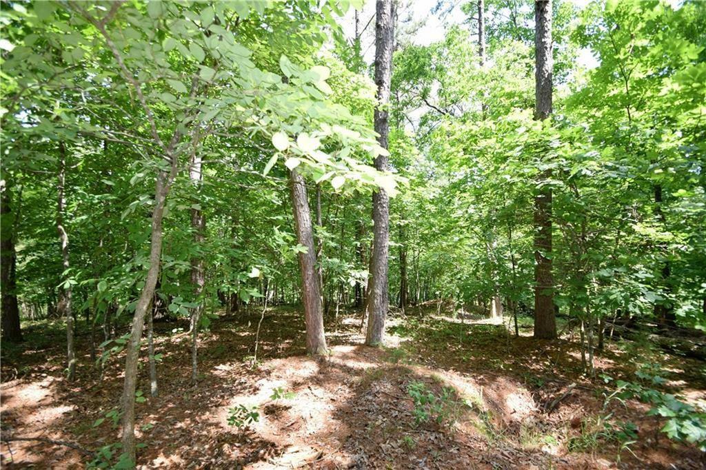 Property Photo:  Lot 30,31 Fallen Pine Lane  AR 72756 