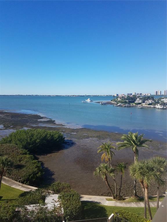 Property Photo: 8 Belleview Boulevard 505 FL 33756