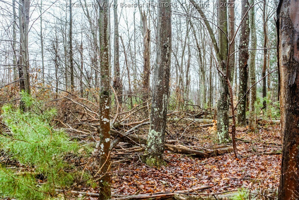 Property Photo: 0 Gritt Road WV 25168