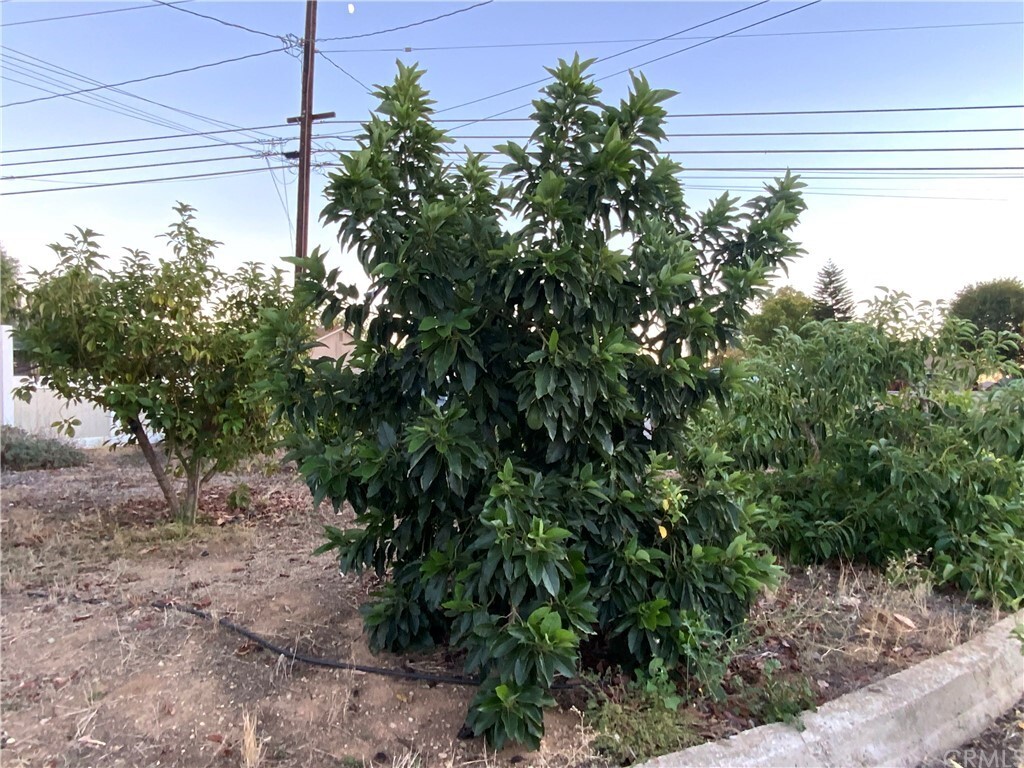 Property Photo:  33450 Colorado Street  CA 92399 