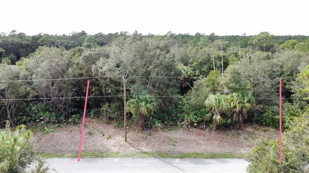 Property Photo:  Crowell Lane  FL 34288 