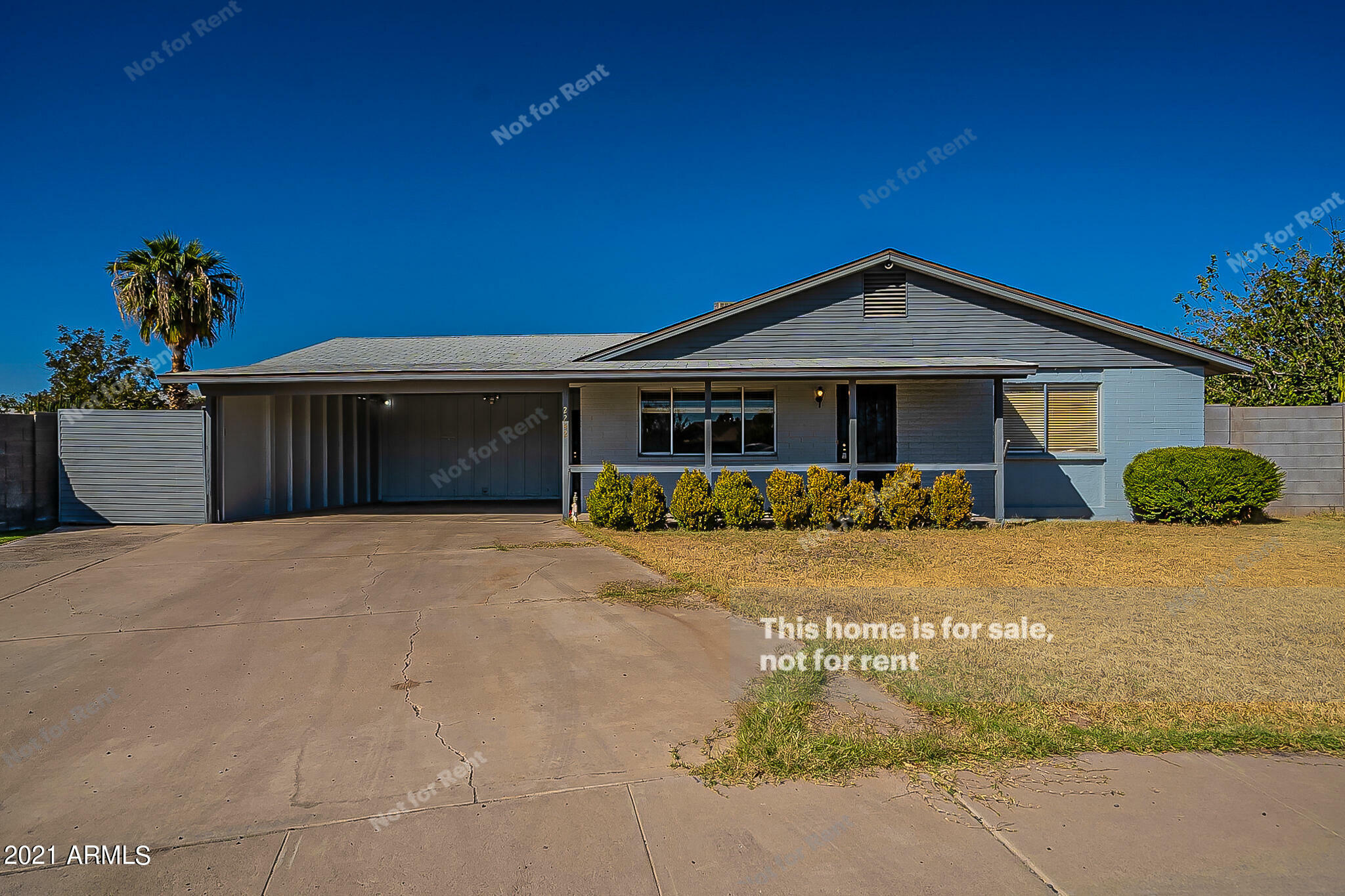 Property Photo:  2242 N 57th Drive  AZ 85035 