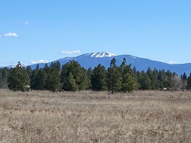 Property Photo: 29xx W Sandpiper Rd WA 99006