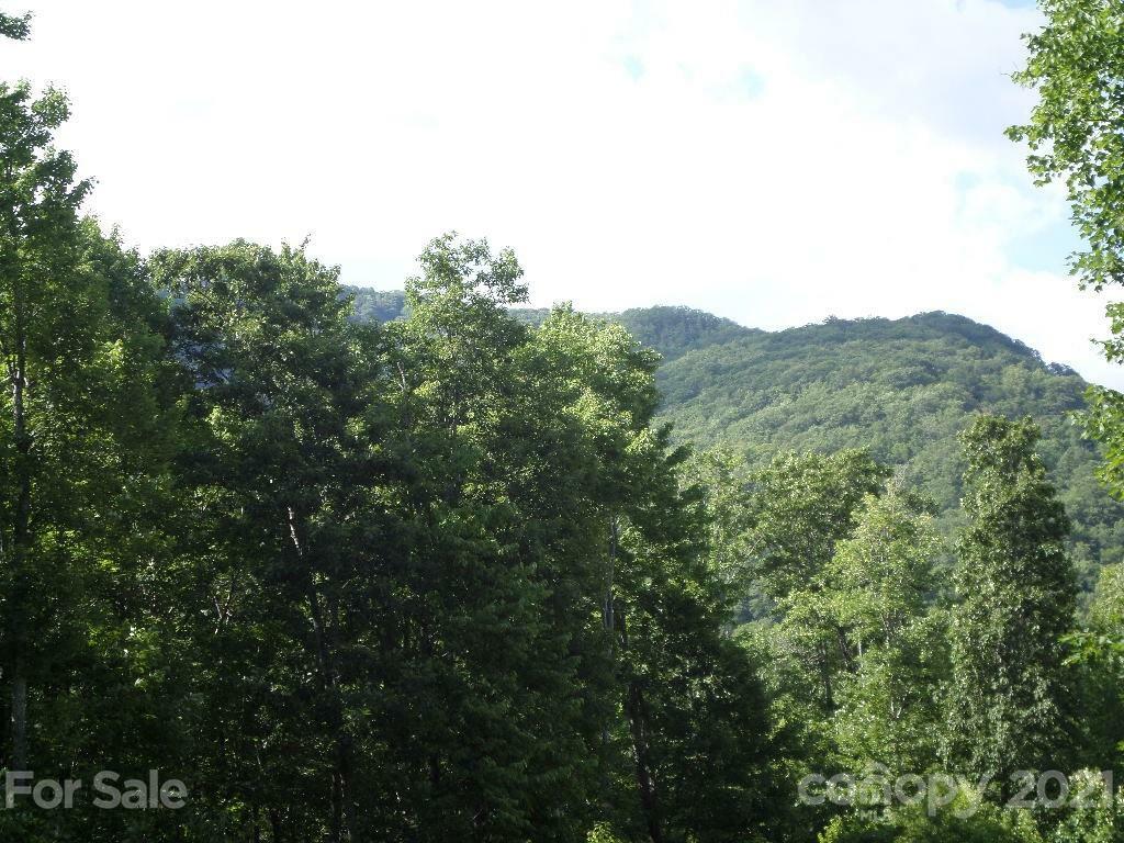 Property Photo:  63A Jonathan Trail  NC 28751 