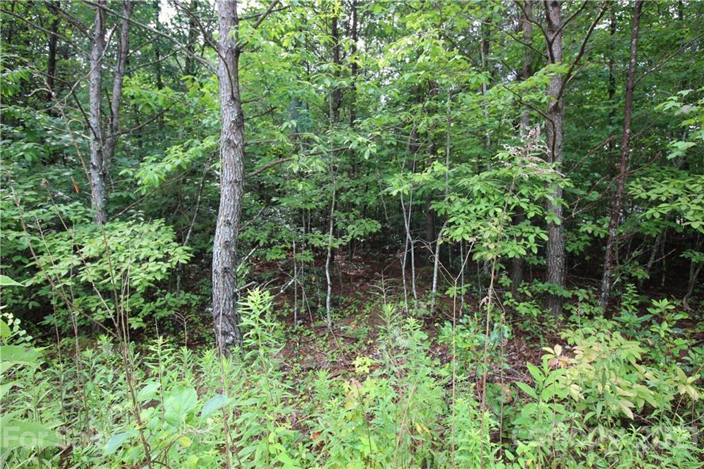 Property Photo:  Lot 3 Ridge Way 3  NC 28752 