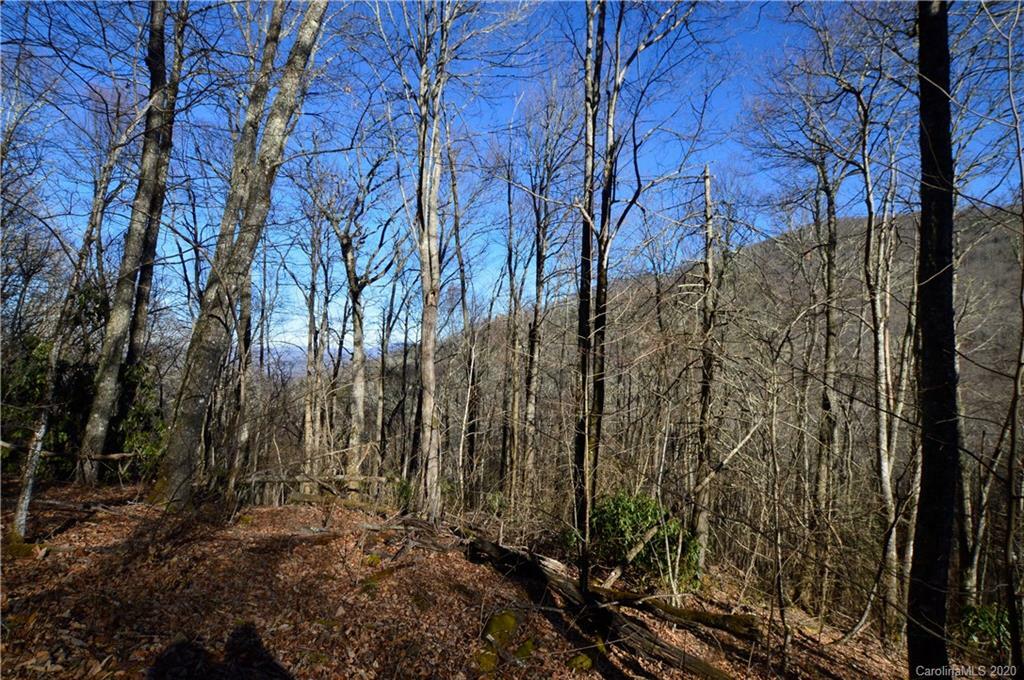 51 Gata Trail 49,50,51  Maggie Valley NC 28751 photo