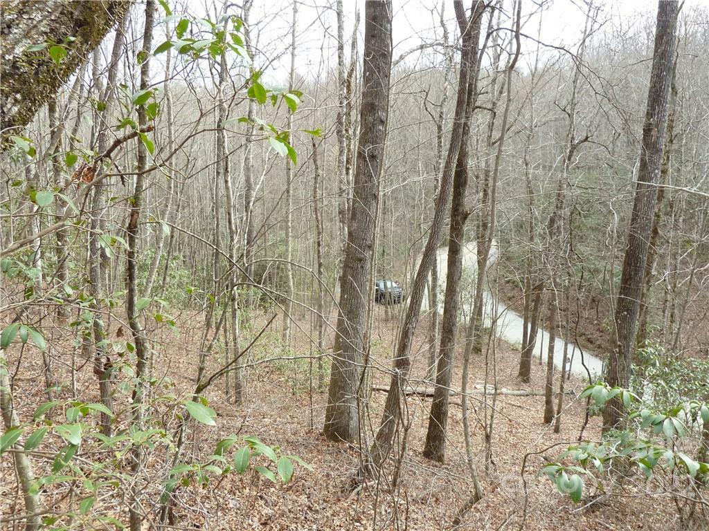 Property Photo:  0 Spring Road  NC 28772 