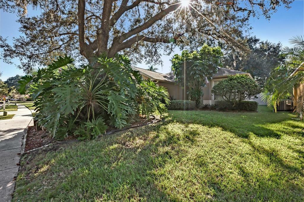 Property Photo:  4708 Dunnie Drive  FL 33614 