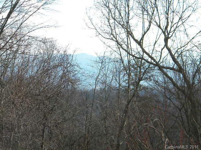 Lot 16 Dogwood Drive 16  Maggie Valley NC 28751 photo