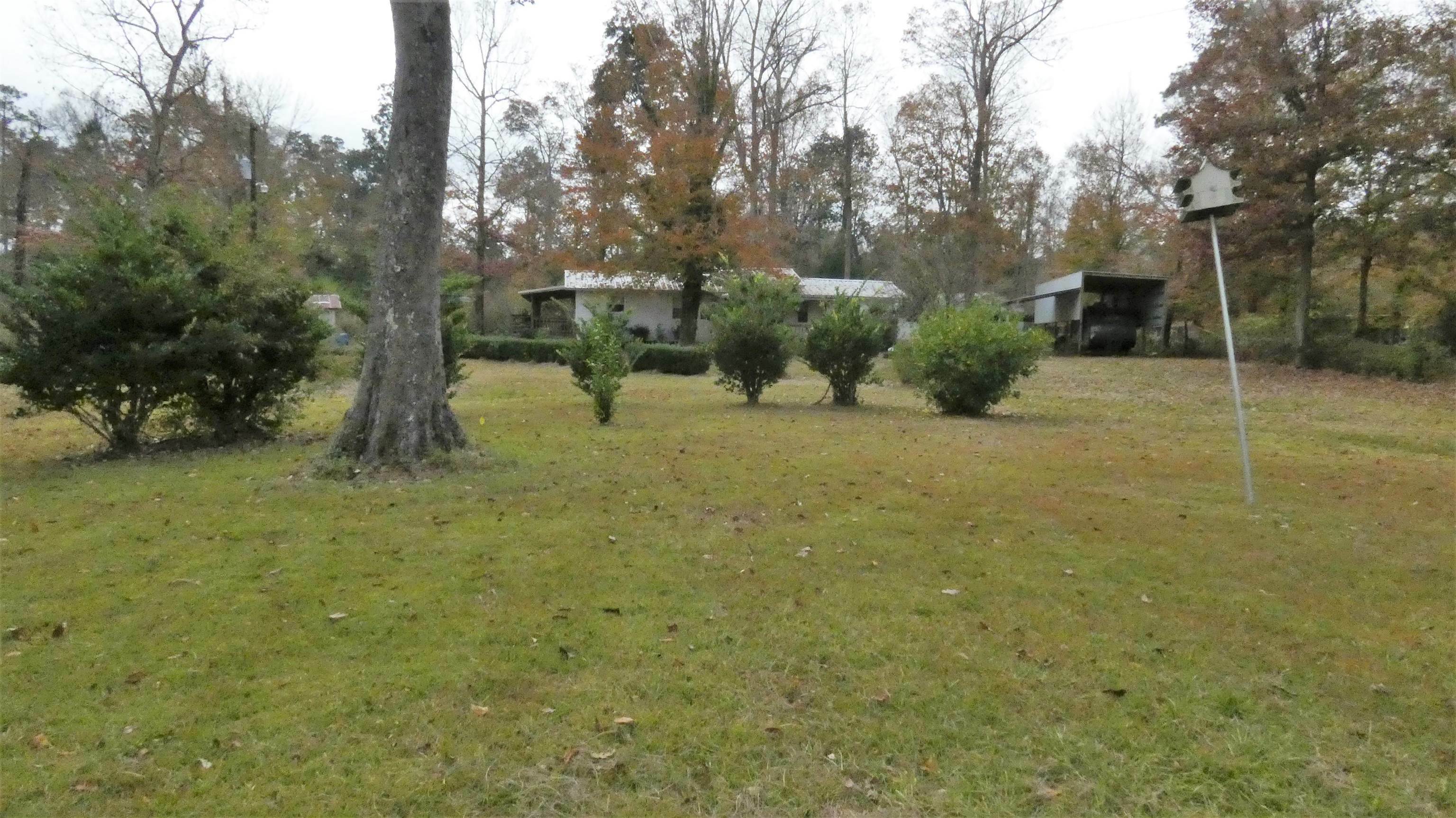 395 County Road 4056  Kirbyville TX 75956 photo