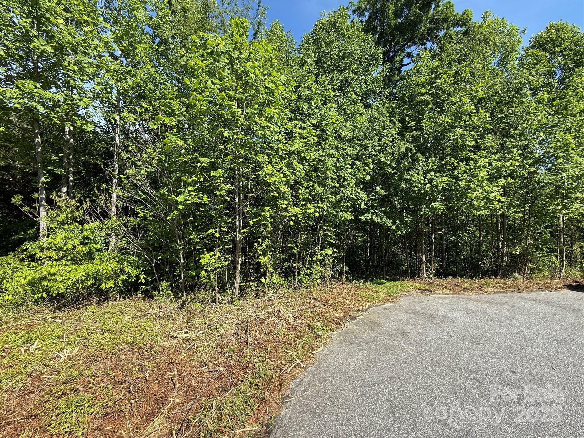 Property Photo:  Lot 263 Riley Drive 263  NC 28681 