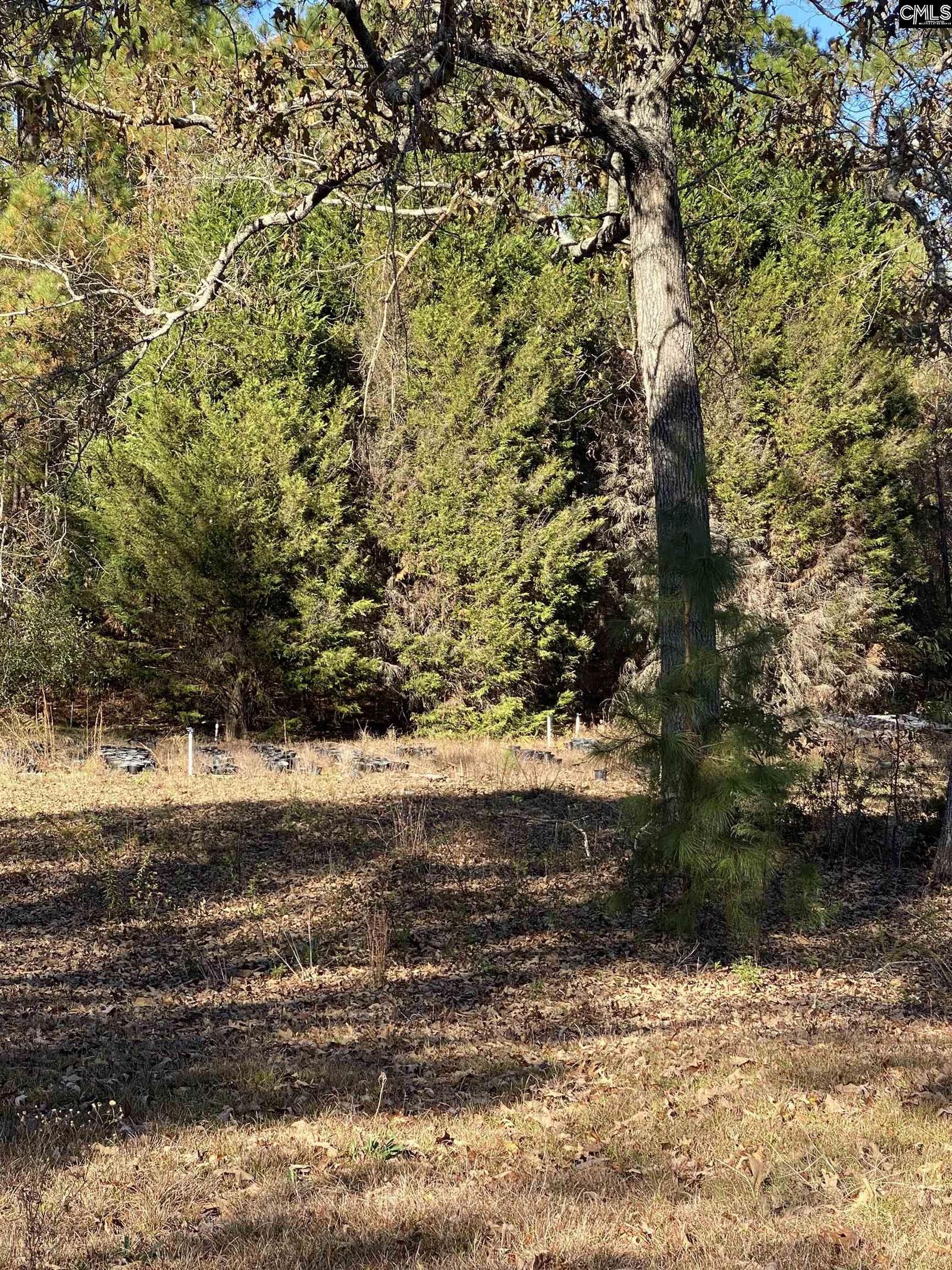 Property Photo:  1669 Woodtrail  SC 29053