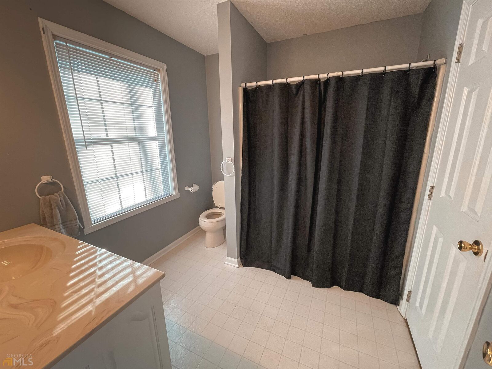 Property Photo:  114 Katie Lane  GA 30747 