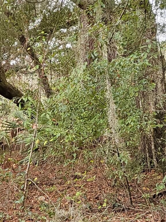 Property Photo: Sunrise Boulevard FL 32757