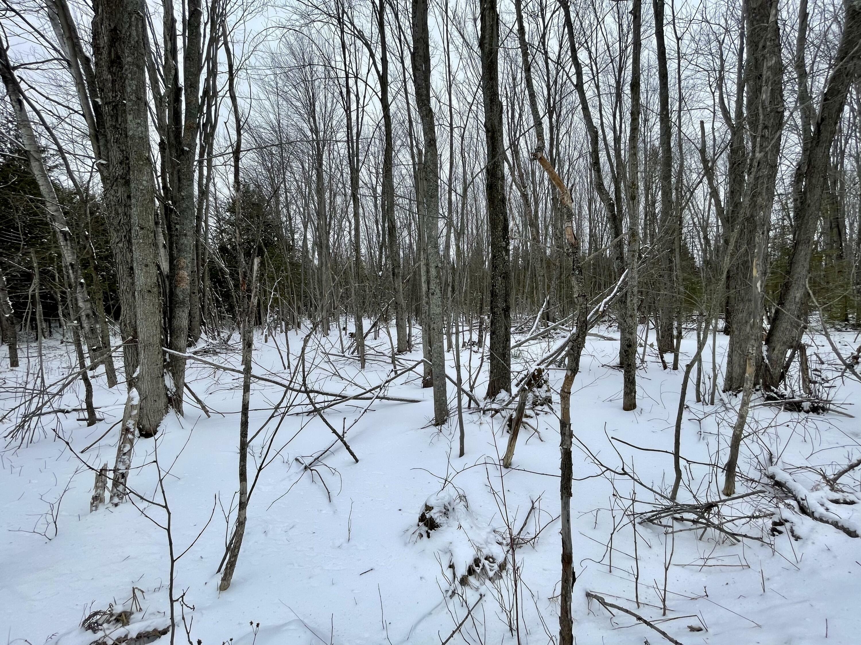 Property Photo:  Stoney Creek Highway 21.7 Acres  MI 49765 