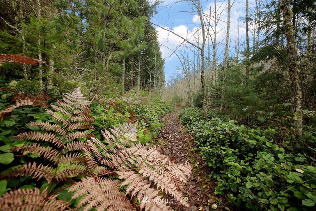 Property Photo:  0 Xxx Reilly Lane  WA 98260 