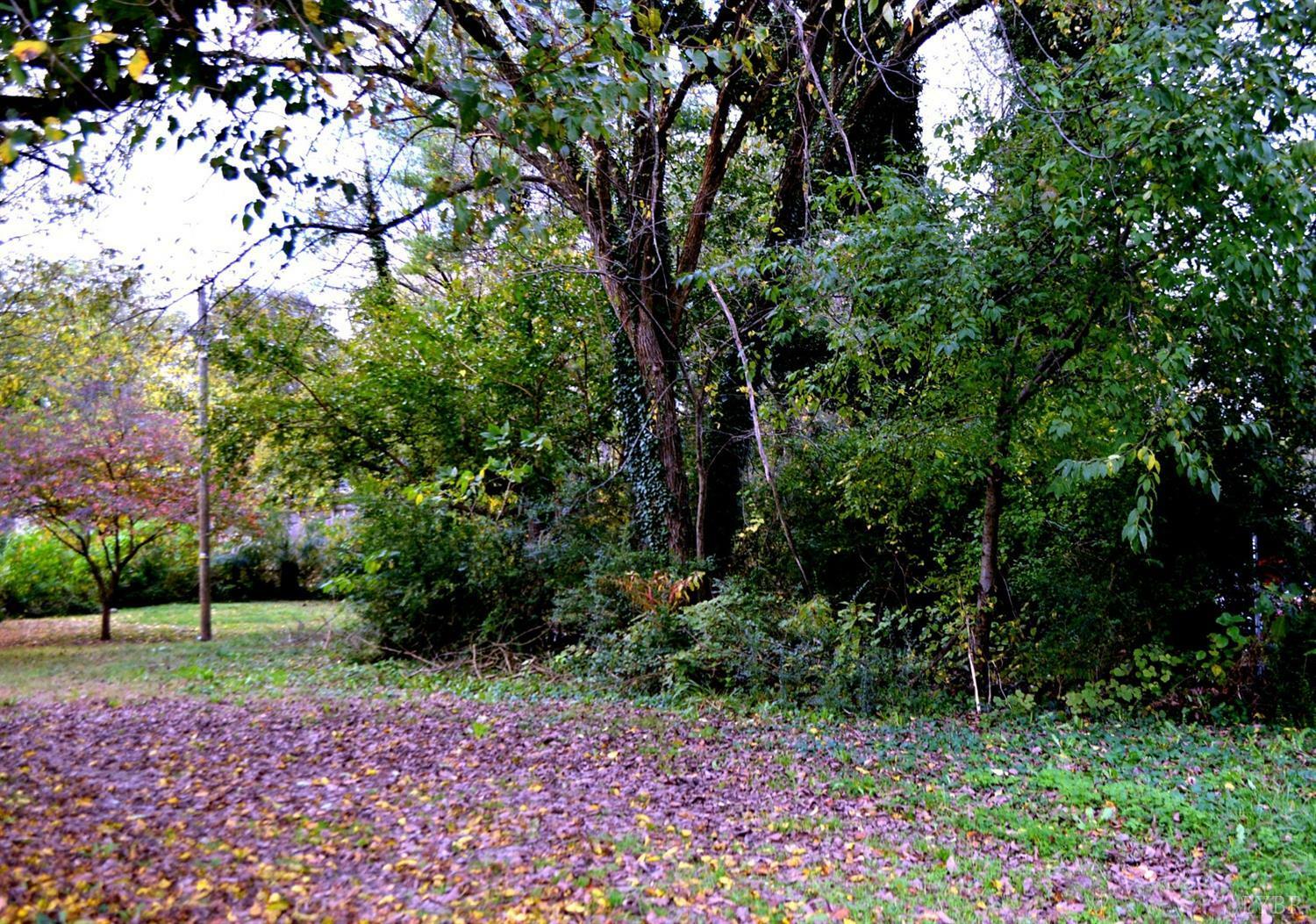 Property Photo:  0 18th Street  VA 24013 