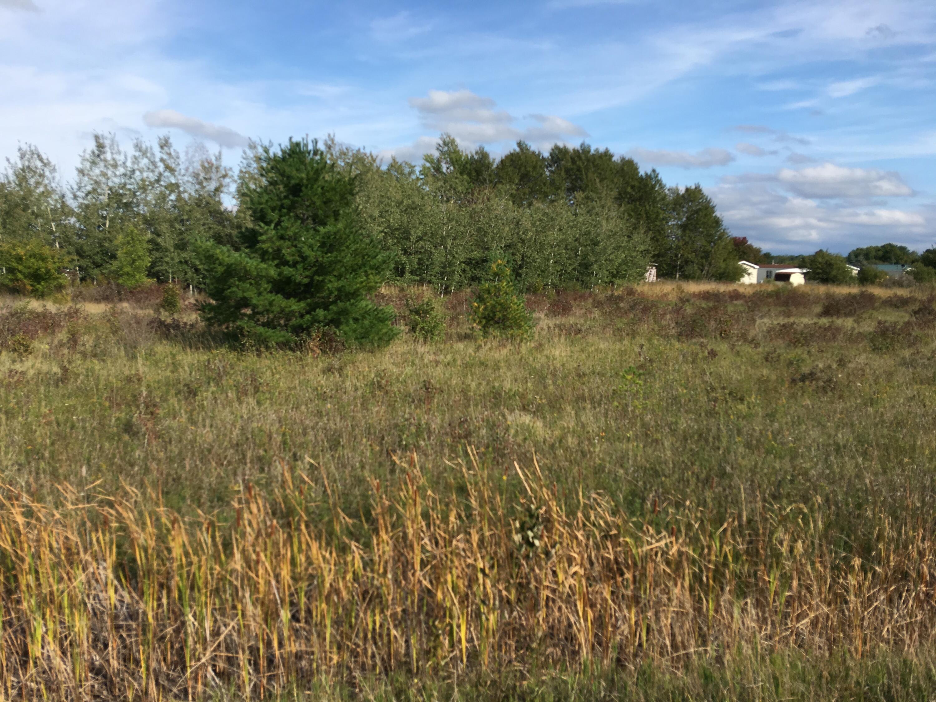 Townline Road  Cheboygan MI 49721 photo