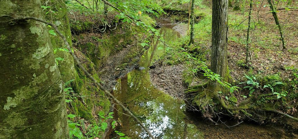 Property Photo: 30 Acres County Road 102 TN 37303