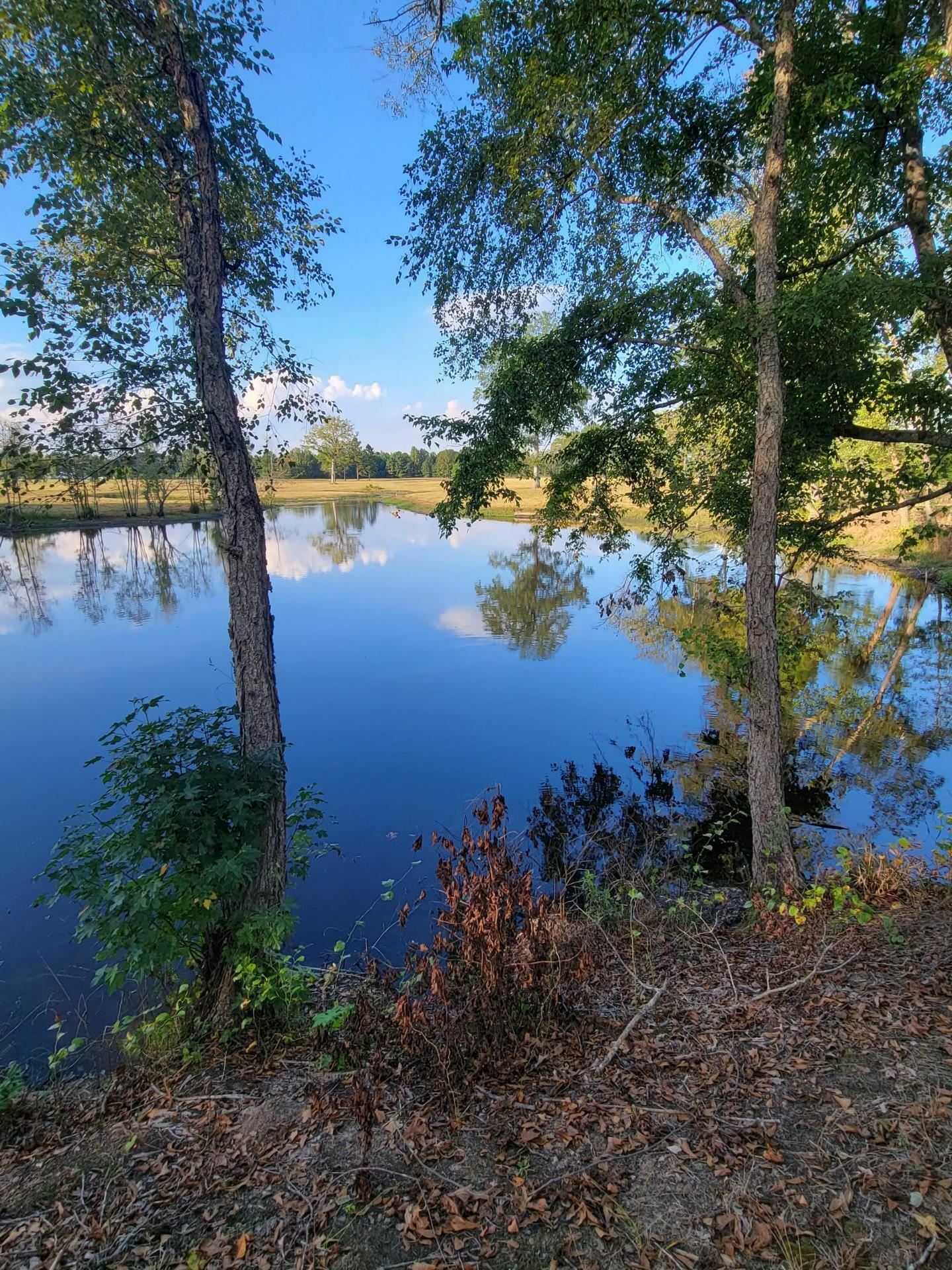 Property Photo: 21680 N U.s. Hwy 59 TX 75572