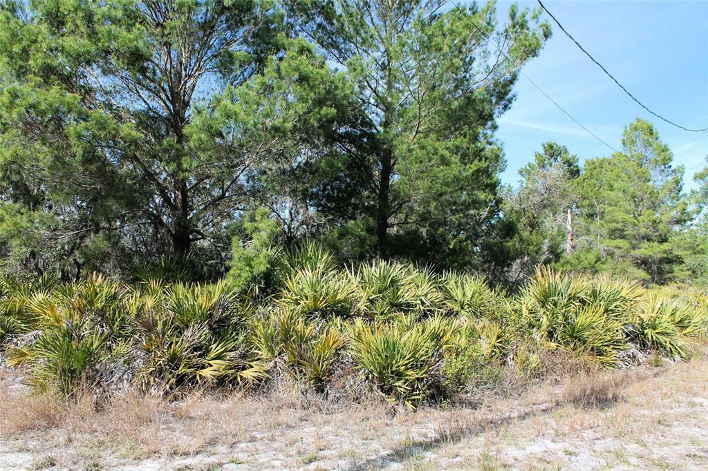 Property Photo: 0 Camp Mack Road FL 33898